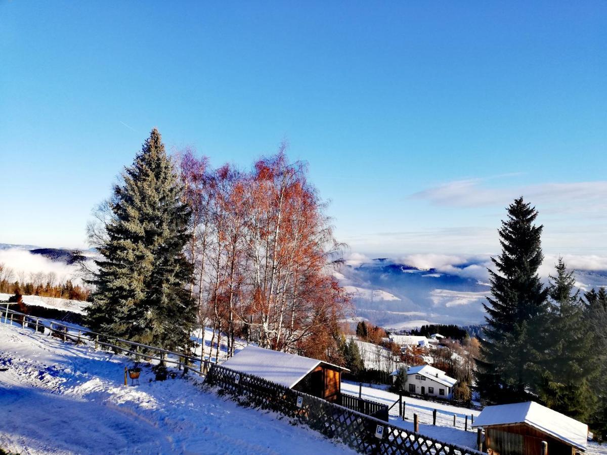 Weixl Schi&Bike Appartements-Bike In&Bike Out Neben Wexl Trails Bikepark ザンクト・コローナ・アム・ヴェクセル エクステリア 写真