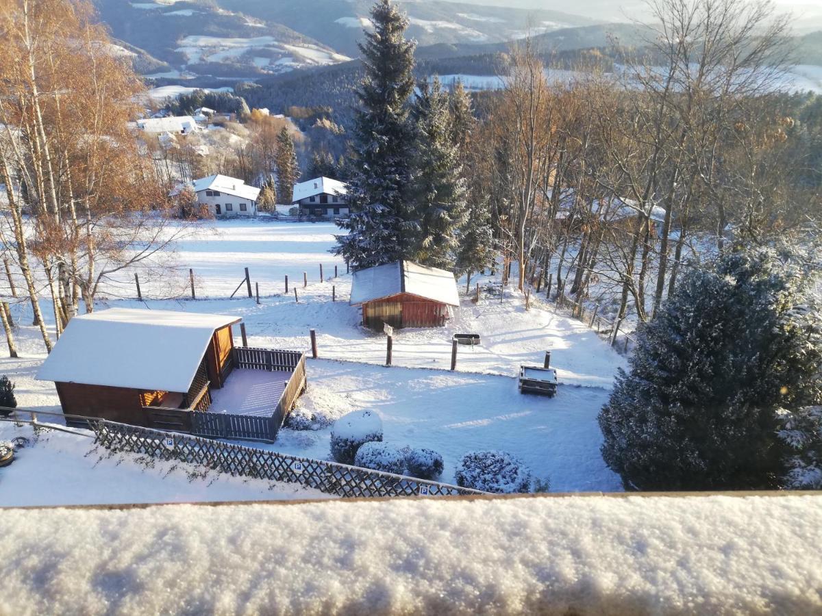 Weixl Schi&Bike Appartements-Bike In&Bike Out Neben Wexl Trails Bikepark ザンクト・コローナ・アム・ヴェクセル エクステリア 写真