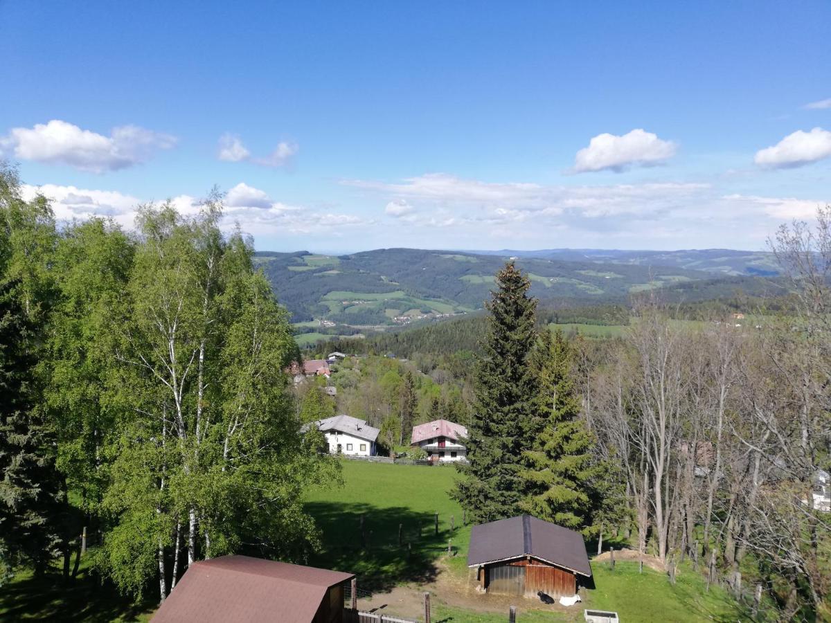 Weixl Schi&Bike Appartements-Bike In&Bike Out Neben Wexl Trails Bikepark ザンクト・コローナ・アム・ヴェクセル エクステリア 写真