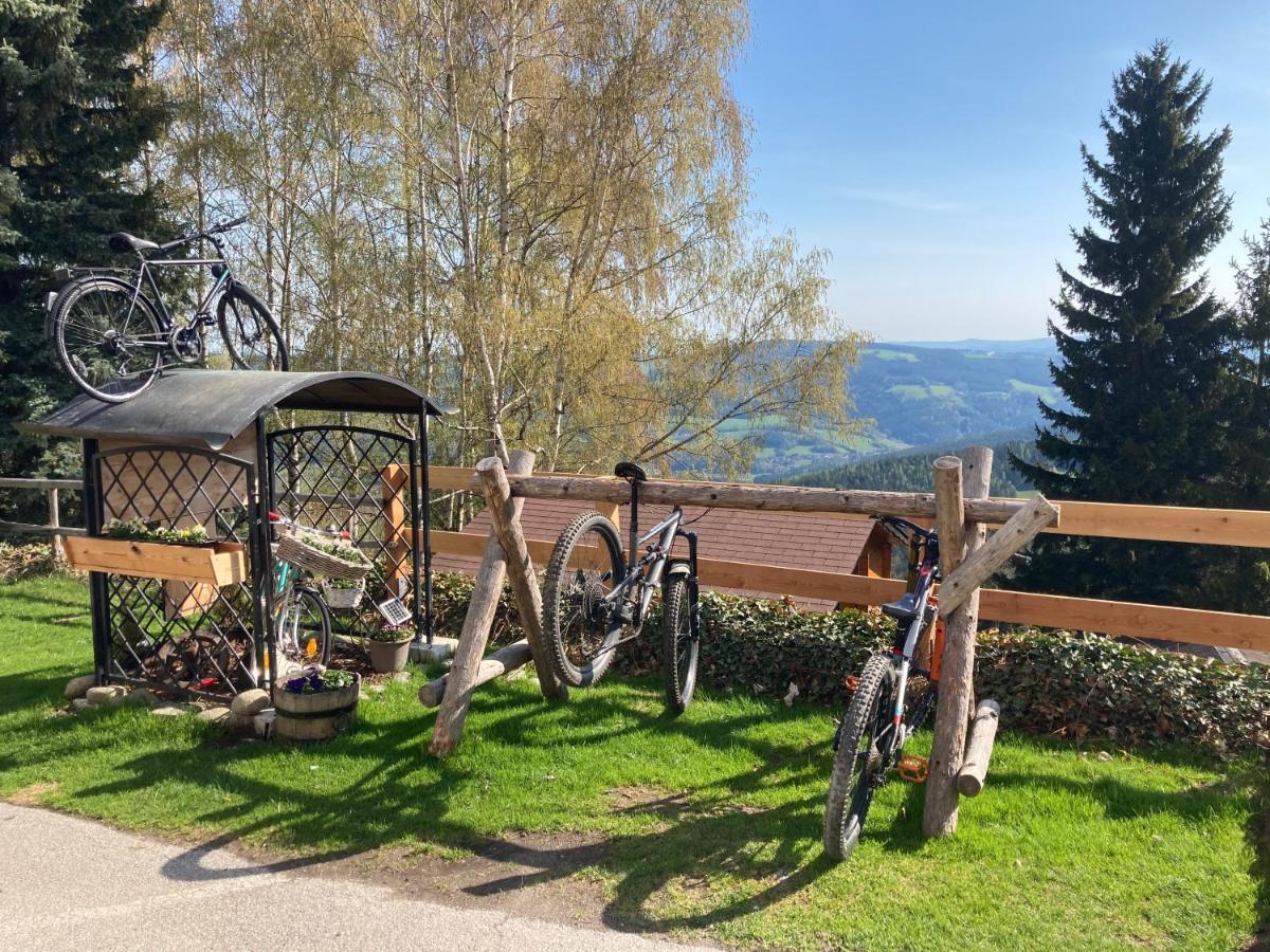 Weixl Schi&Bike Appartements-Bike In&Bike Out Neben Wexl Trails Bikepark ザンクト・コローナ・アム・ヴェクセル エクステリア 写真