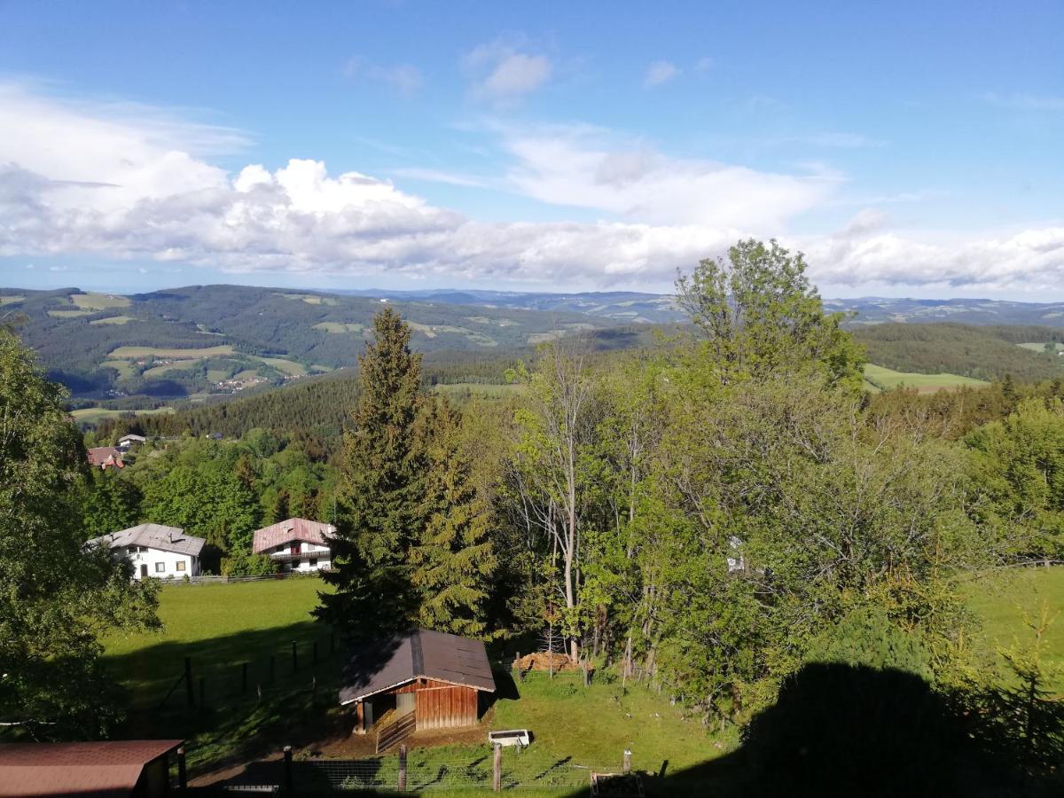 Weixl Schi&Bike Appartements-Bike In&Bike Out Neben Wexl Trails Bikepark ザンクト・コローナ・アム・ヴェクセル エクステリア 写真